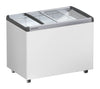 Liebherr EFE 3052 Ice Cream Chest Freezer 10 cuft - 4 baskets