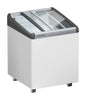 Liebherr EFI 1453 Ice Cream Chest Freezer 4.8 cuft - 2 baskets