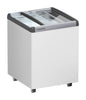 Liebherr EFE 1552 Ice Cream Chest Freezer 5.1 cuft - 2 baskets